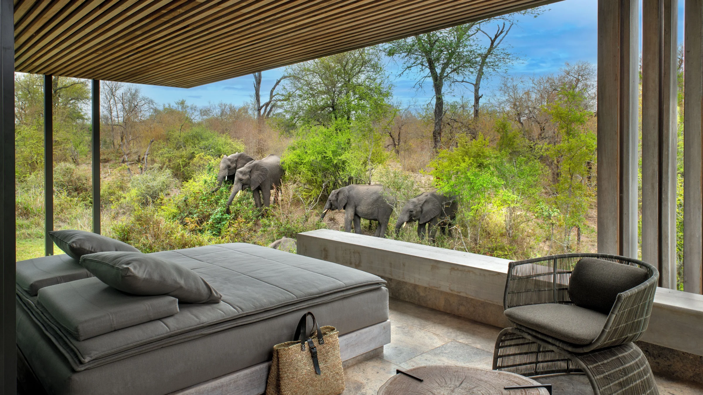 Sabi Sand Game Reserve