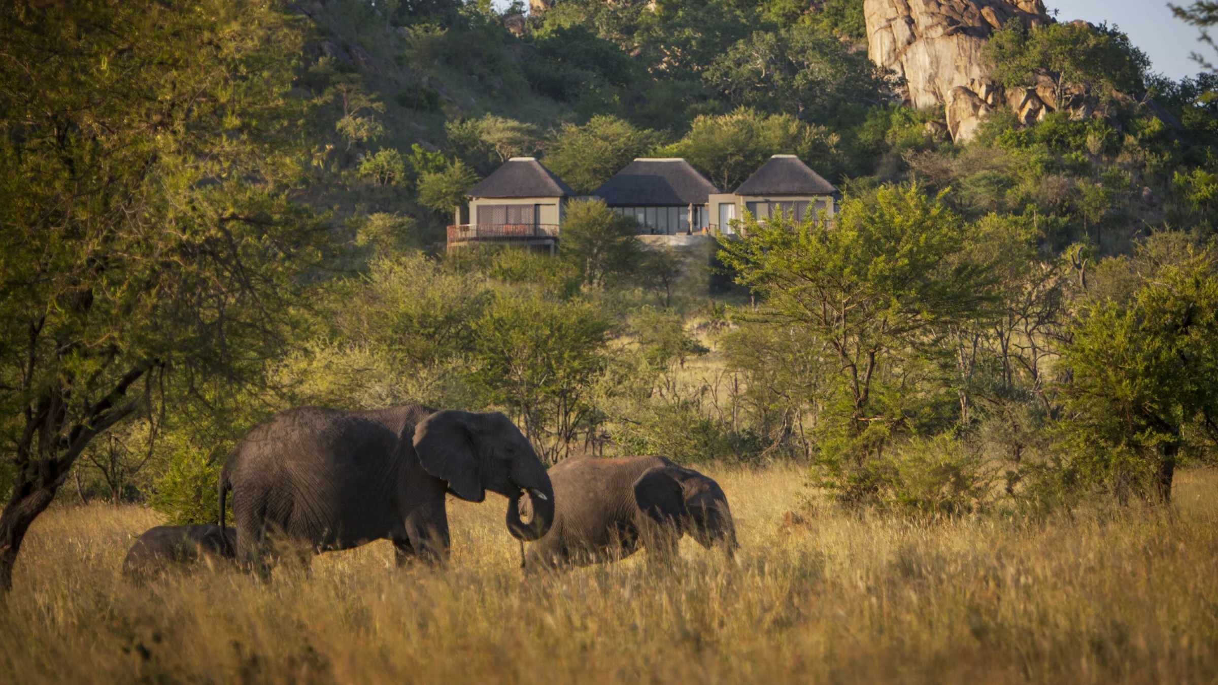 Serengeti