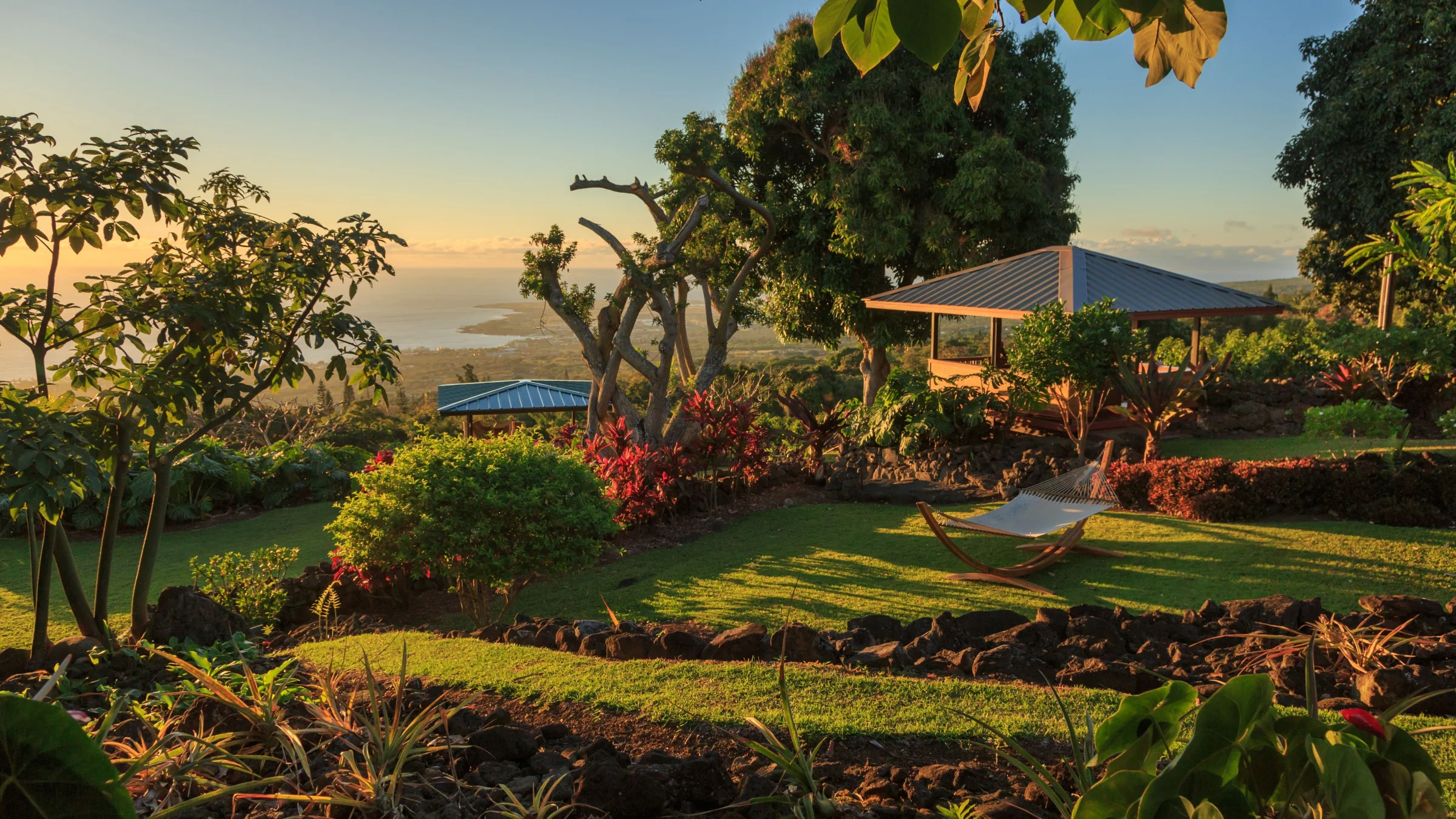 Holualoa, Island of Hawaii