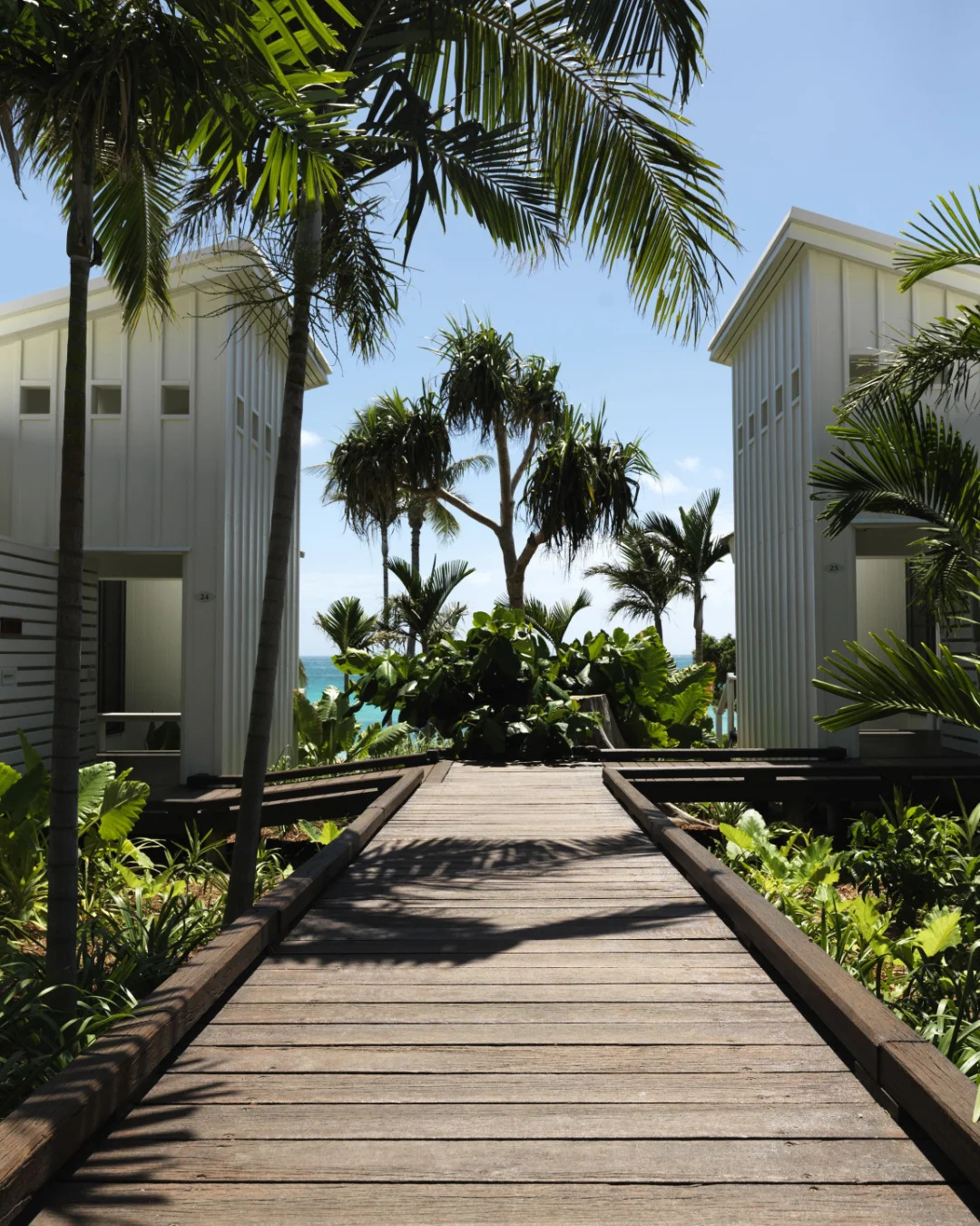 Lizard Island Resort, exterior or arrival