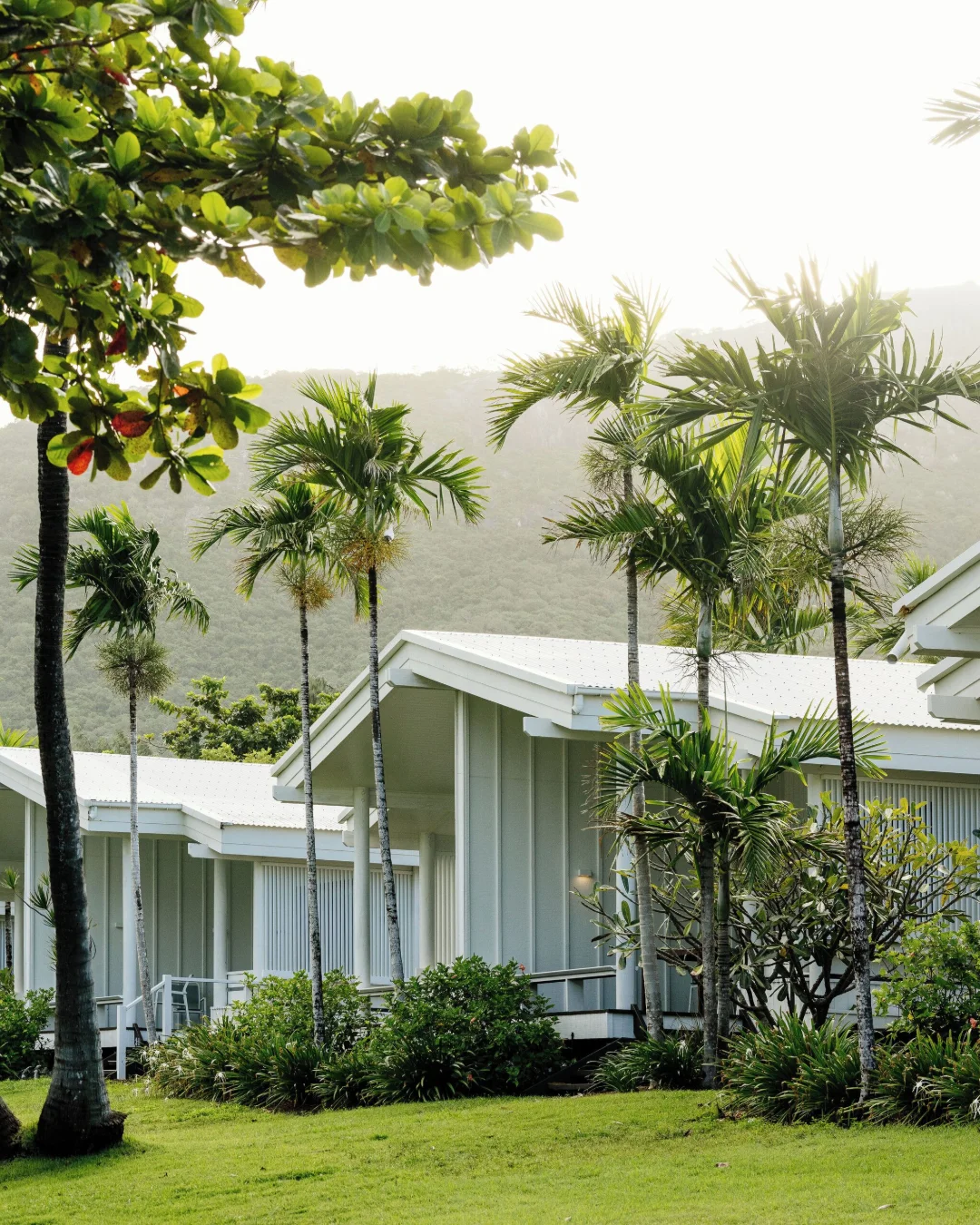 Lizard Island Resort, untagged photo
