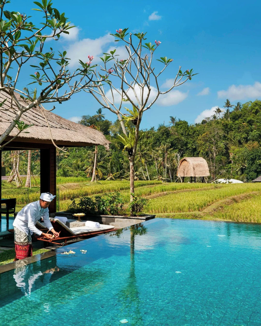 Mandapa, a Ritz-Carlton Reserve, untagged photo