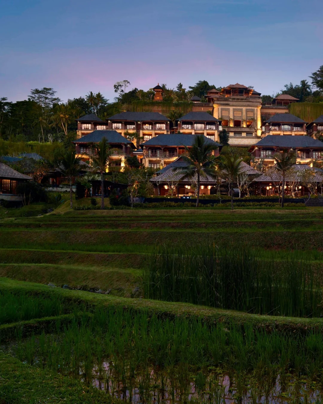 Mandapa, a Ritz-Carlton Reserve, untagged photo