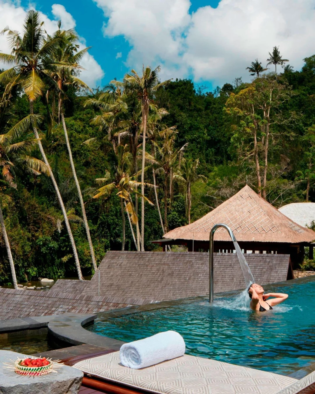 Mandapa, a Ritz-Carlton Reserve, view