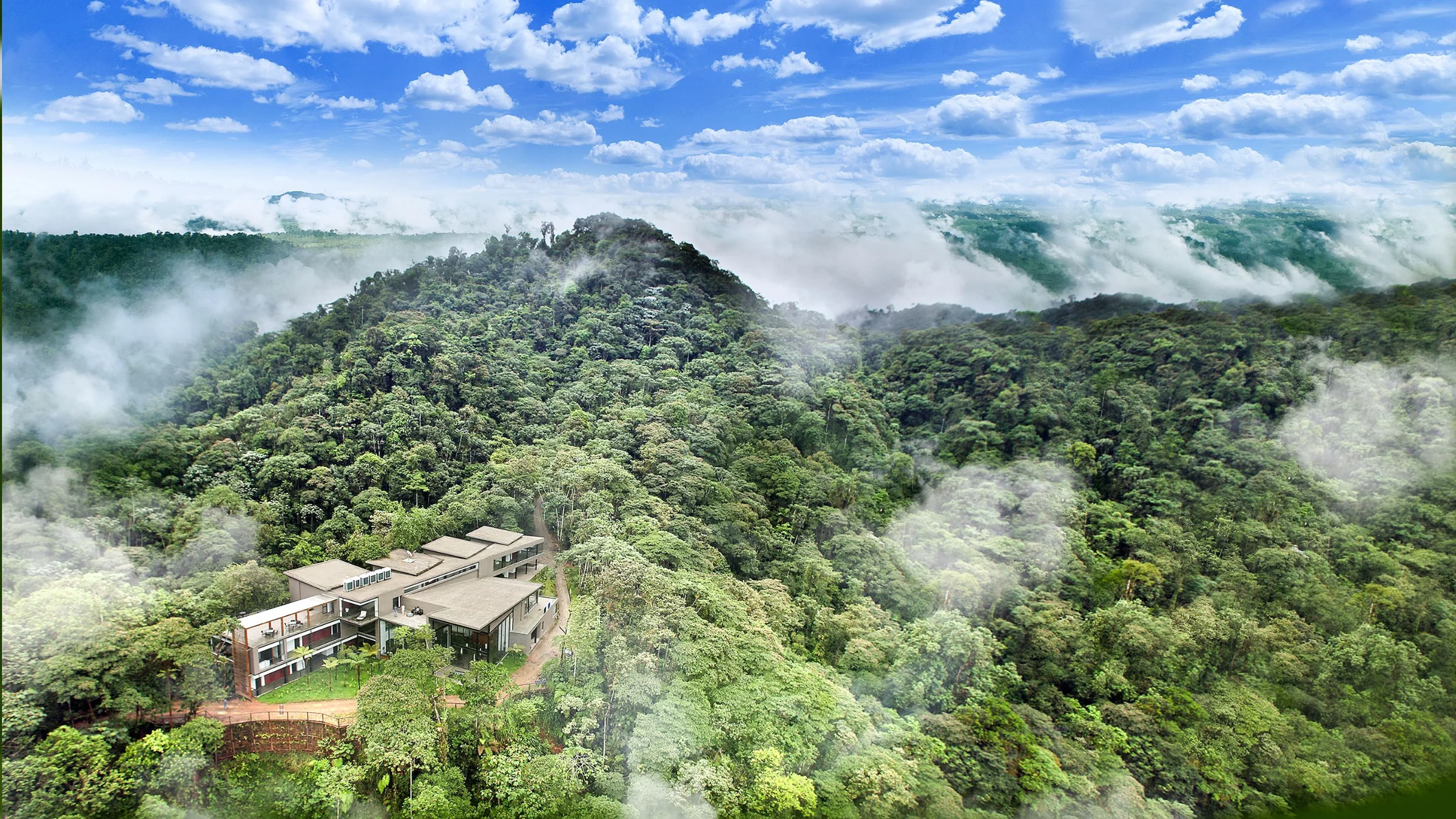 Choco Cloud Forest