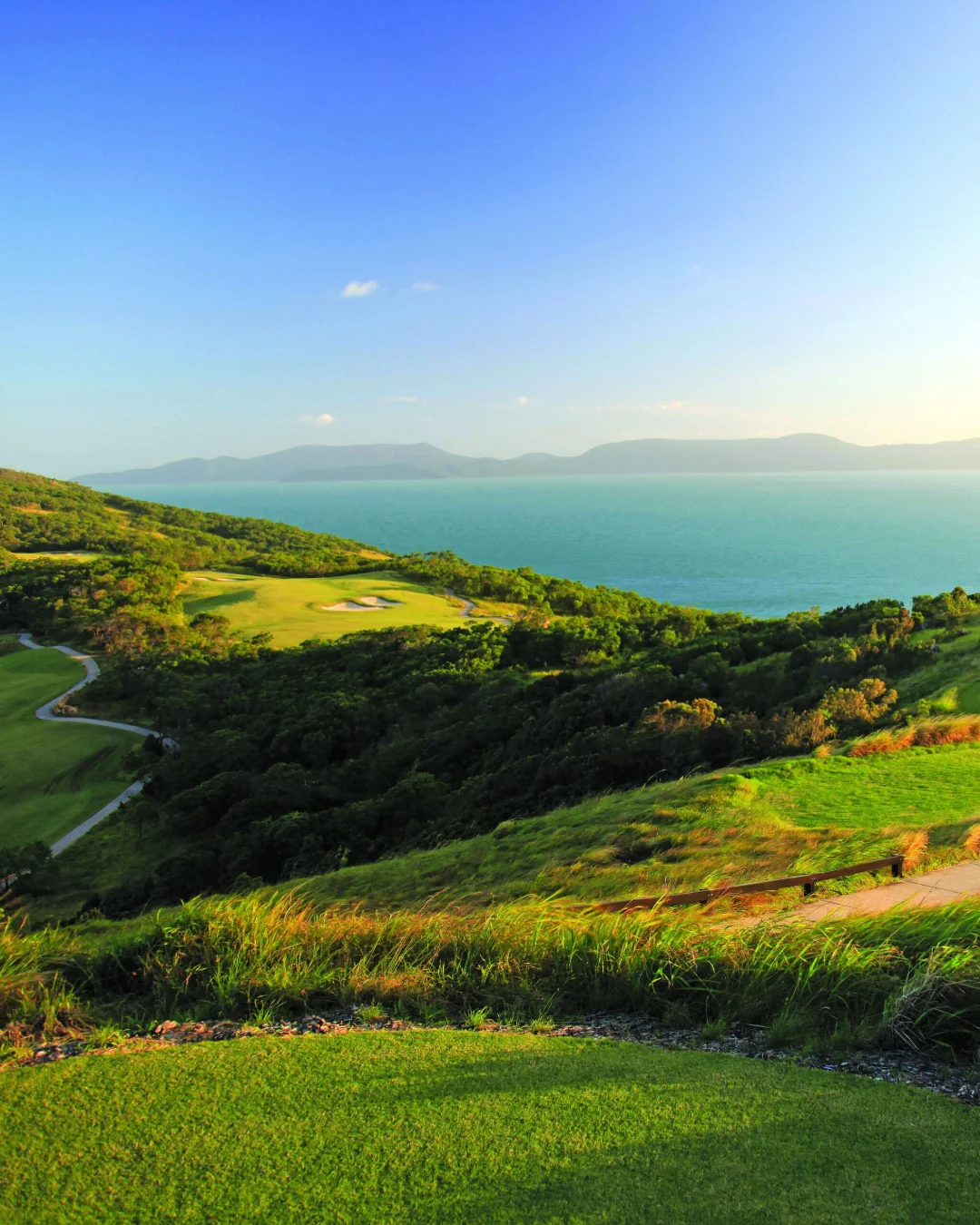 qualia, nature or grounds