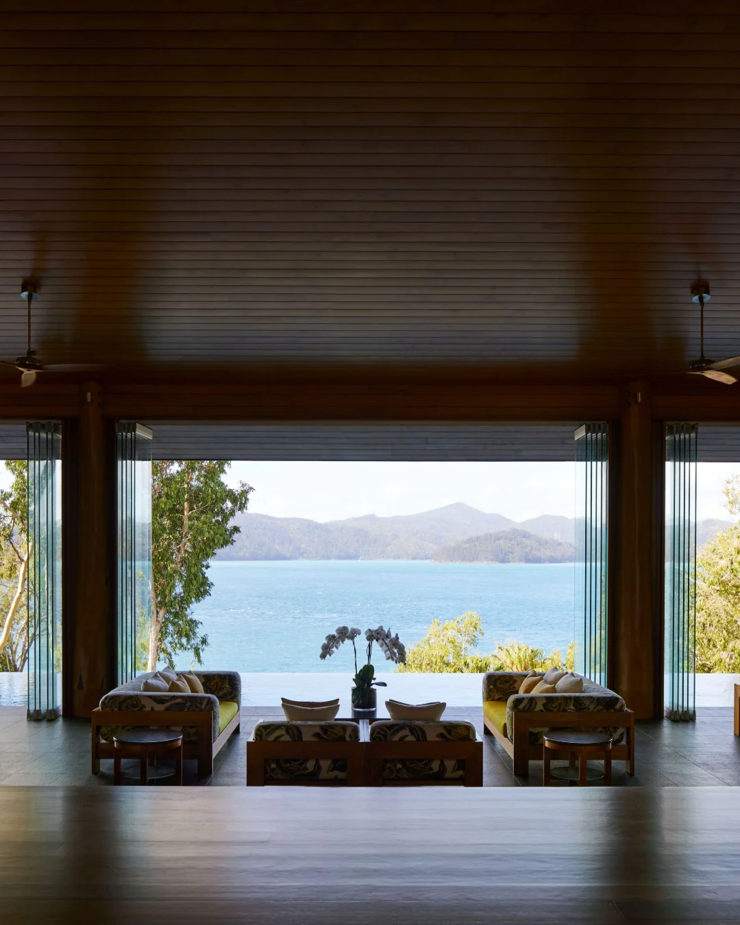 qualia, view