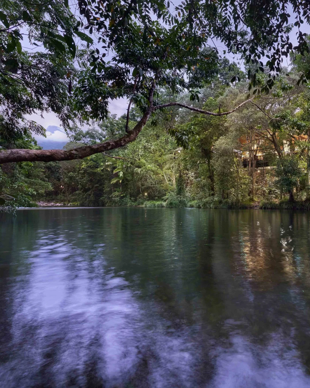 Silky Oaks Lodge, untagged photo