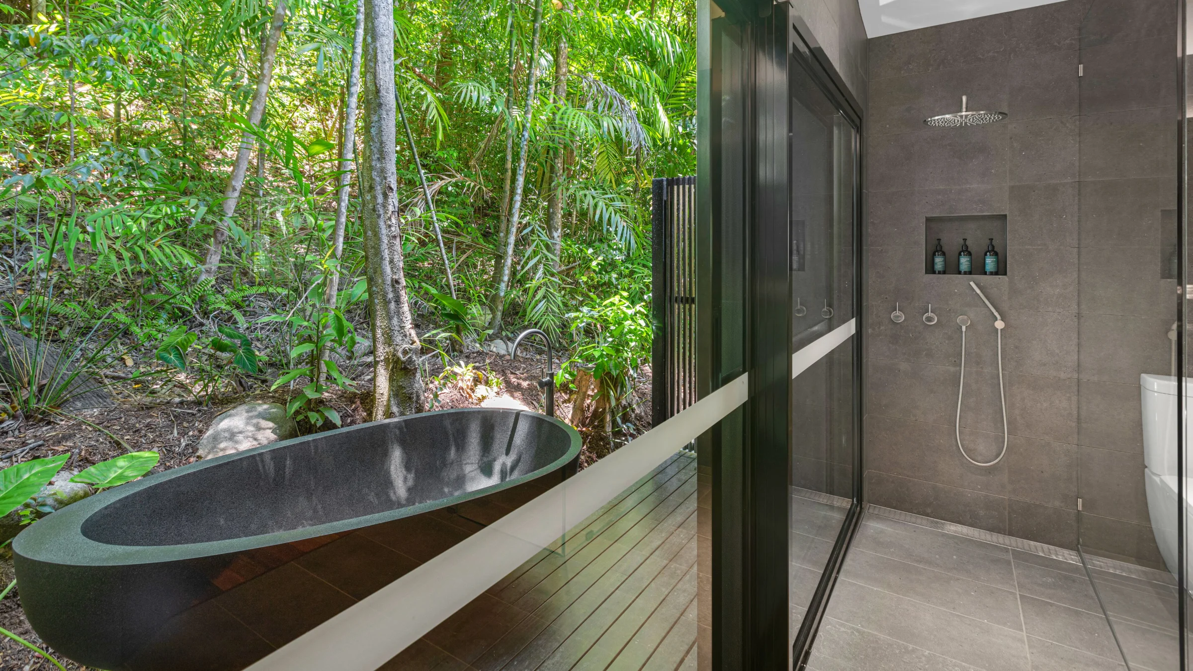 Daintree Rainforest